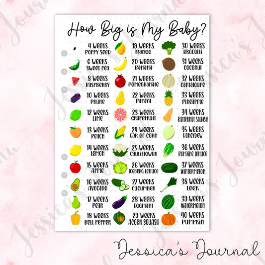 How Big is my Baby? | Pregnancy Journal Spread