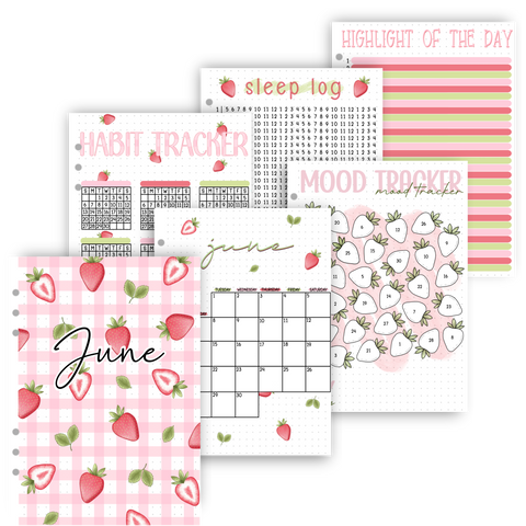 June 2027 | Strawberry Gingham