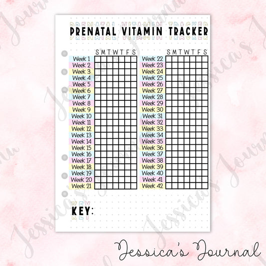 Prenatal Vitamin Tracker | Pregnancy Journal Spread