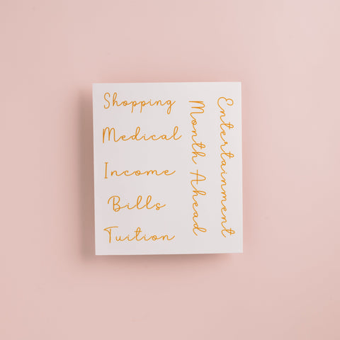 Self Care Budget Binder Kit