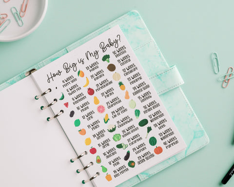 Pregnancy Journal Kit